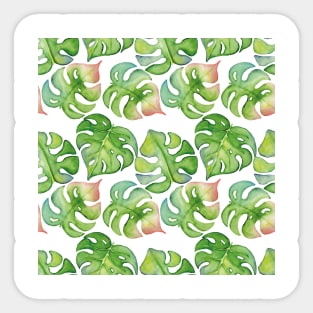 Monstera Palm Leaves Sticker